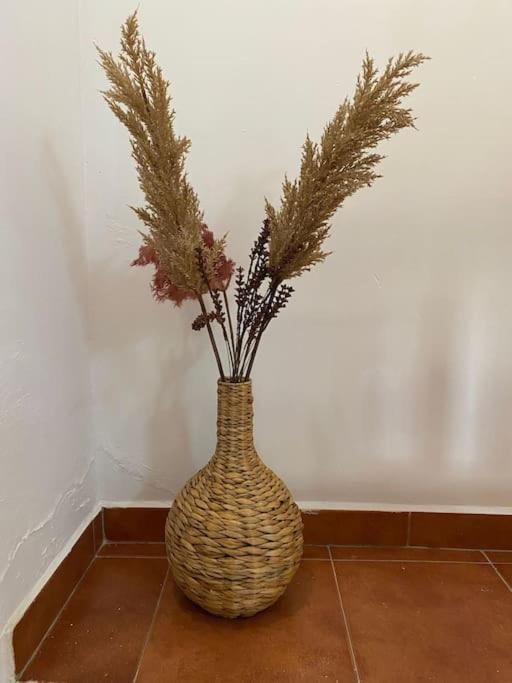 Castle House Xativa Apartment Екстериор снимка
